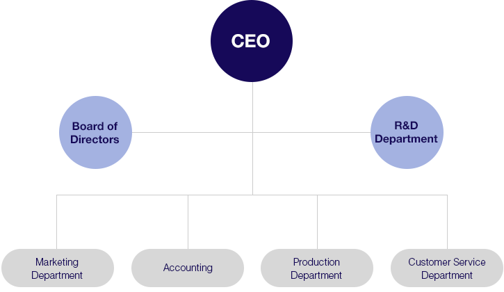CEO , Board of Directors, R&D Department, Marketing Department, Accounting, Production Department,Customer Service Department 